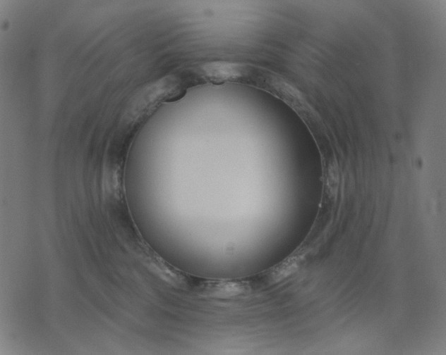 X0000074260330200609081742