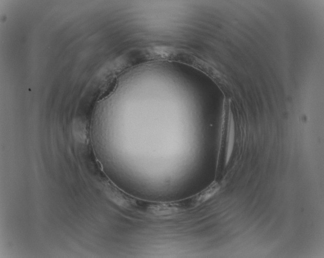 X0000074260331200609081742