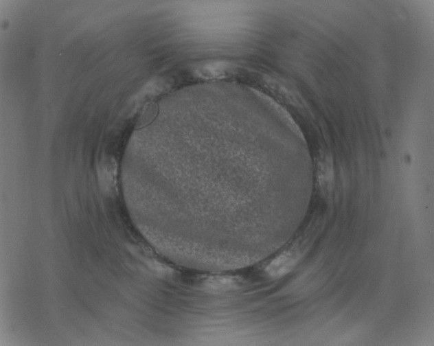 X0000074260332200609081742