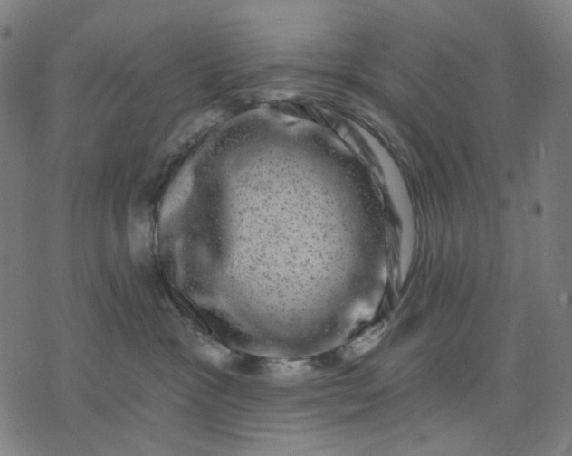 X0000074260333200609081742