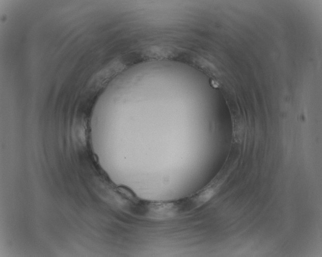 X0000074260334200609081742