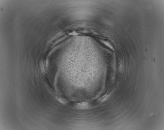 X0000074260335200609081742