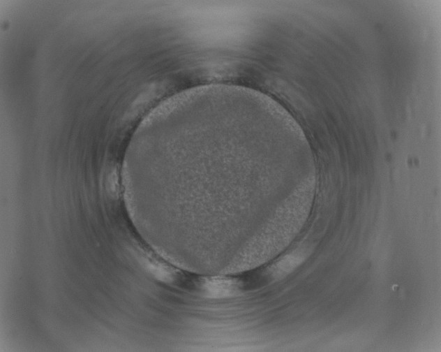 X0000074260336200609081742