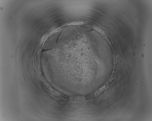 X0000074260337200609081741