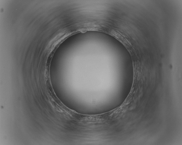 X0000074260338200609081741