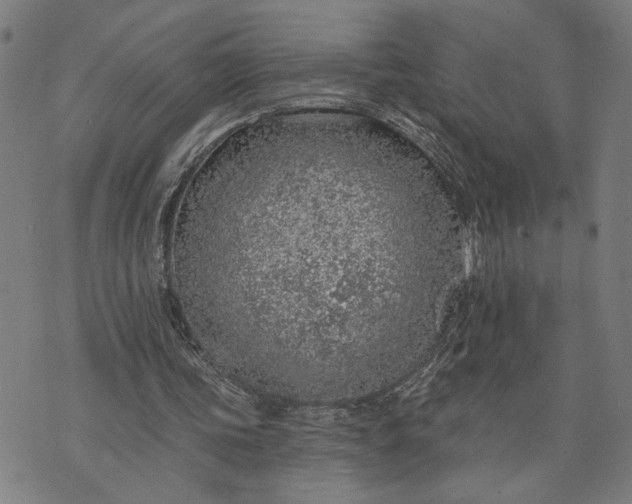 X0000074260339200609081741