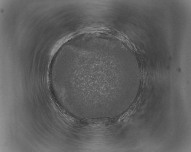 X0000074260340200609081742