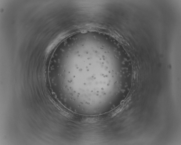 X0000074260341200609081742