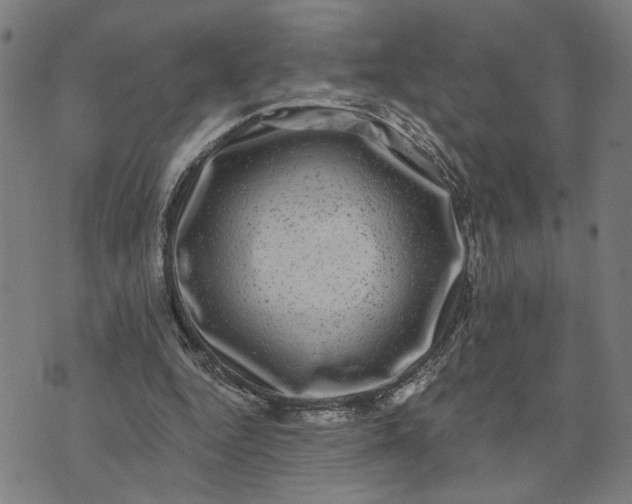 X0000074260344200609081742