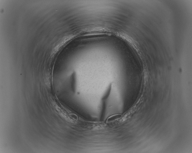 X0000074260345200609081742