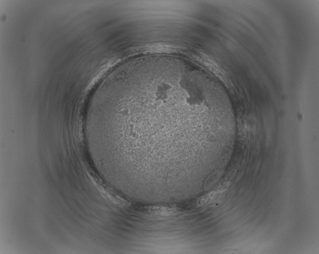 X0000074260347200609081742