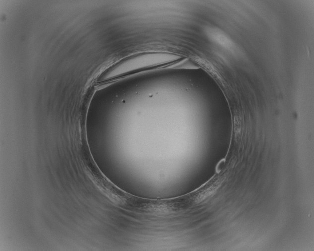 X0000074260349200609081742