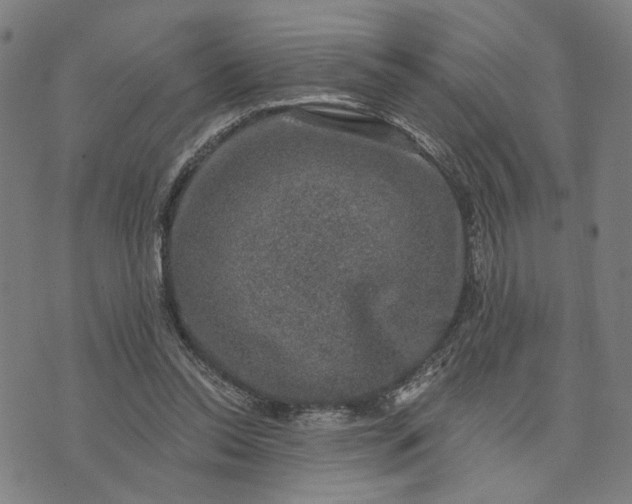 X0000074260350200609081742