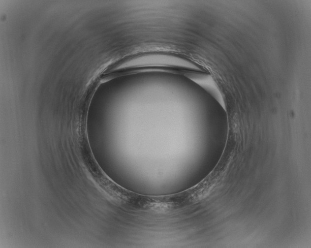 X0000074260352200609081742