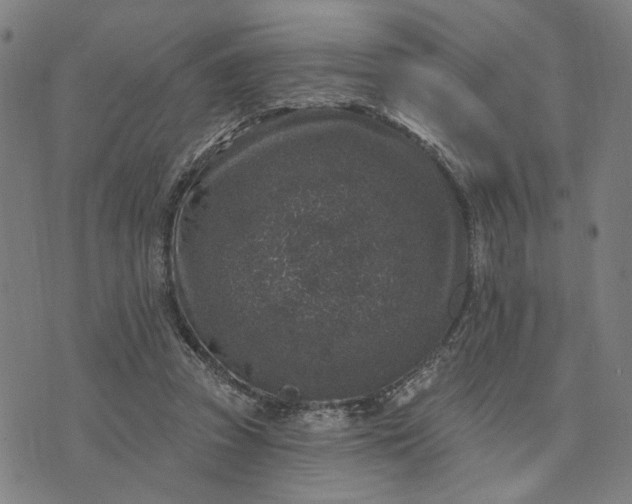 X0000074260353200609081742