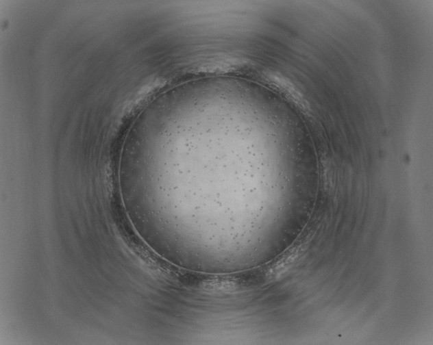 X0000074260354200609081742