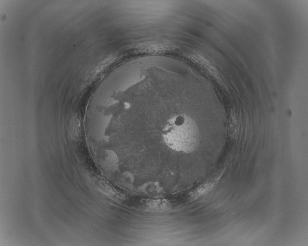 X0000074260355200609081742