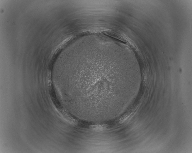 X0000074260356200609081742