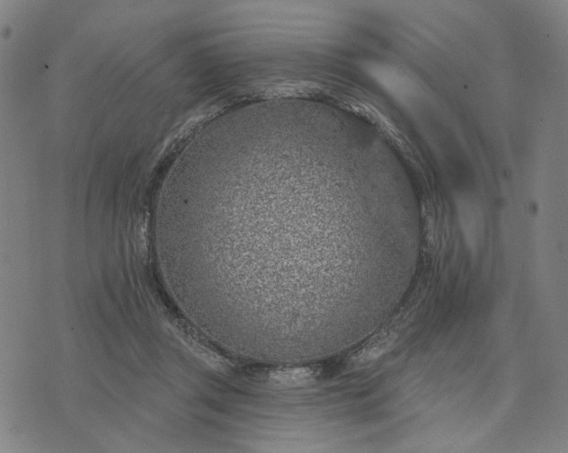 X0000074260357200609081742