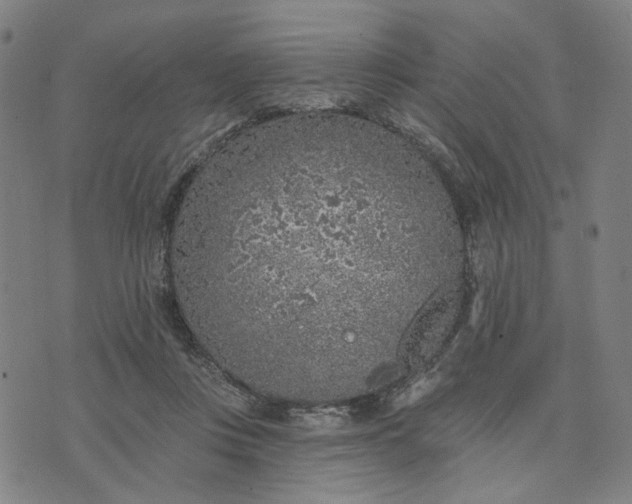 X0000074260359200609081742