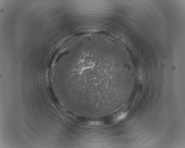 X0000074260360200609081742