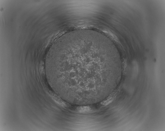 X0000074260361200609081742