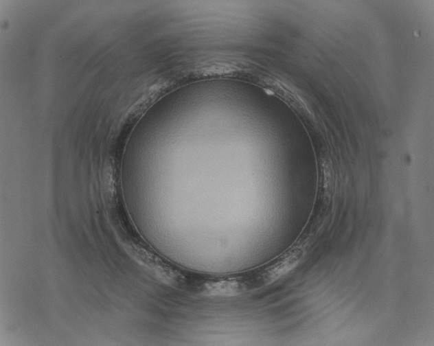 X0000074260362200609081742