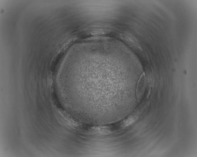 X0000074260367200609081742