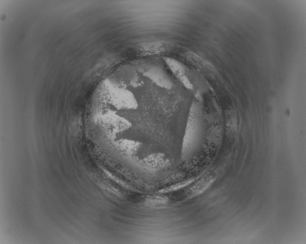 X0000074260369200609081742