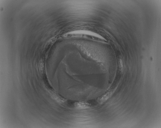 X0000074260372200609081742