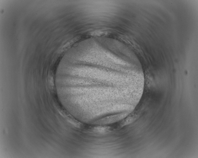 X0000074260375200609081742