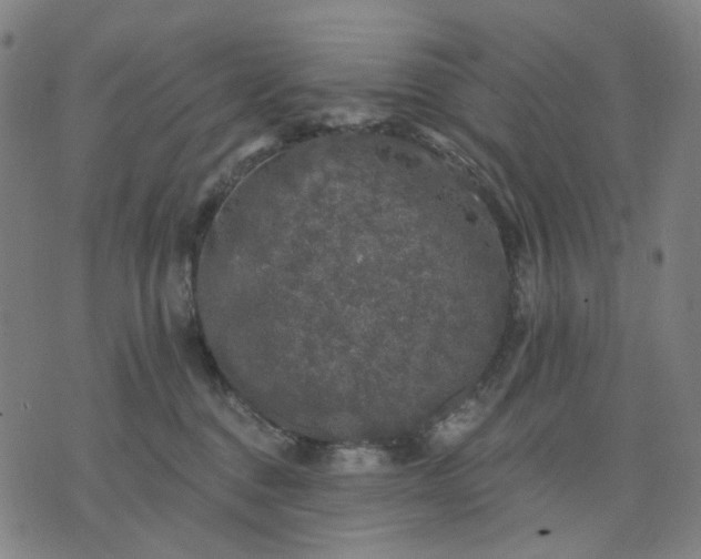 X0000074260376200609081742