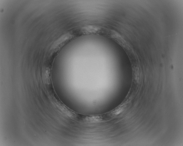 X0000074260378200609081742