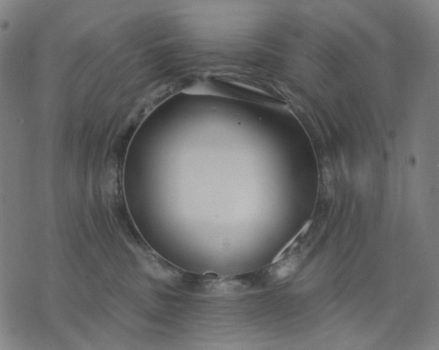 X0000074260379200609081742