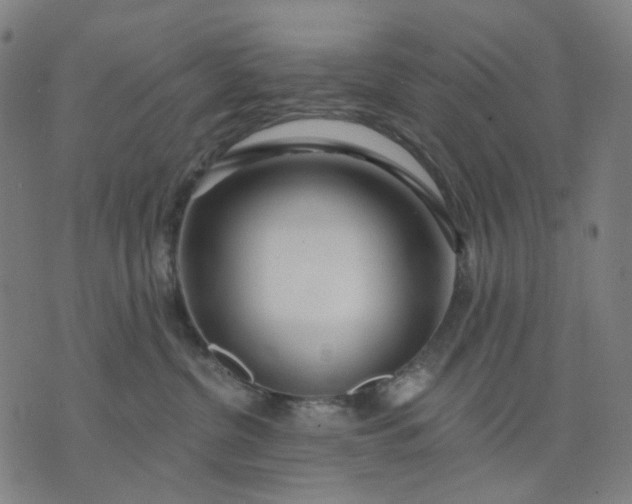 X0000074260380200609081742