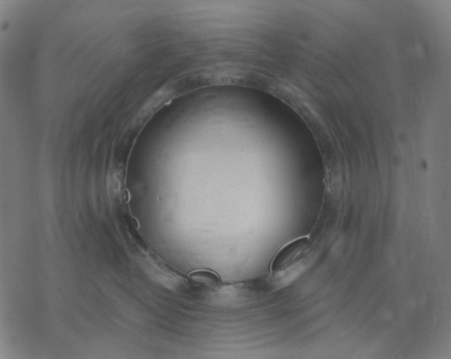 X0000074260382200609081742