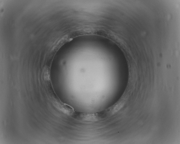 X0000074260384200609081742