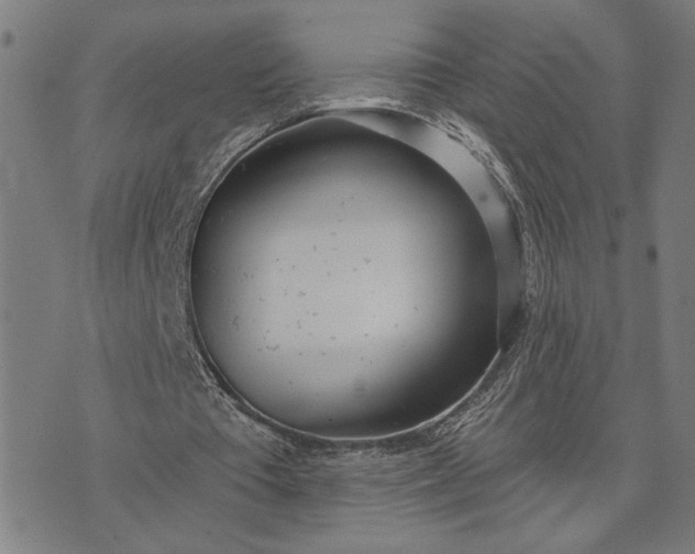 X0000074260385200609081741