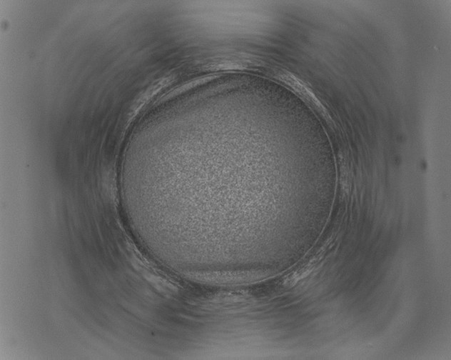 X0000074260386200609081741