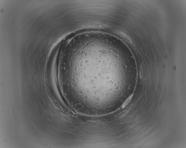 X0000074260388200609081741