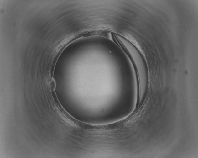 X0000074260389200609081741