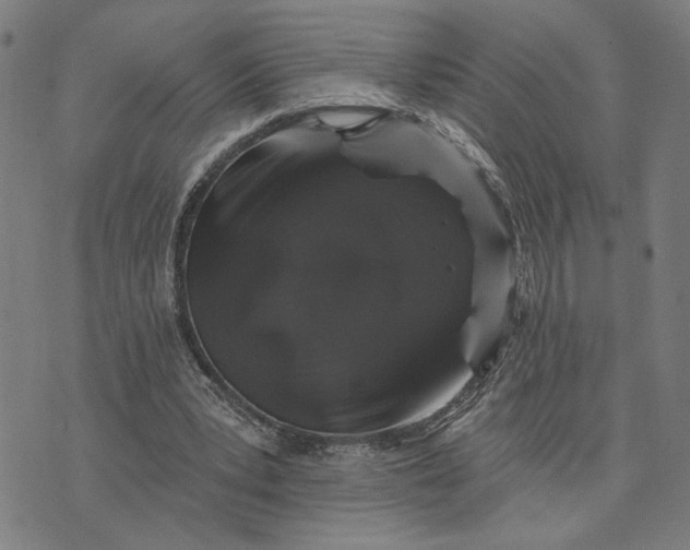 X0000074260391200609081741