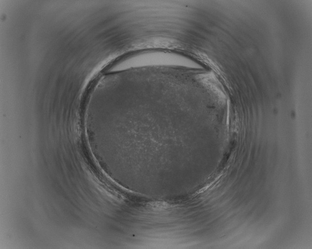 X0000074260392200609081741