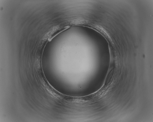 X0000074260393200609081741