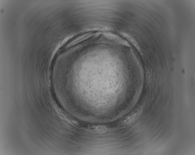 X0000074260395200609081741