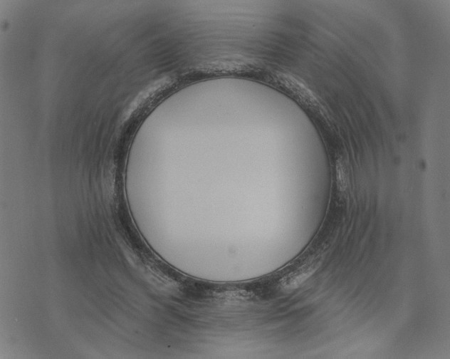 X0000074260396200609081741