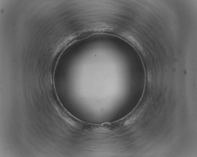 X0000074260397200609081741