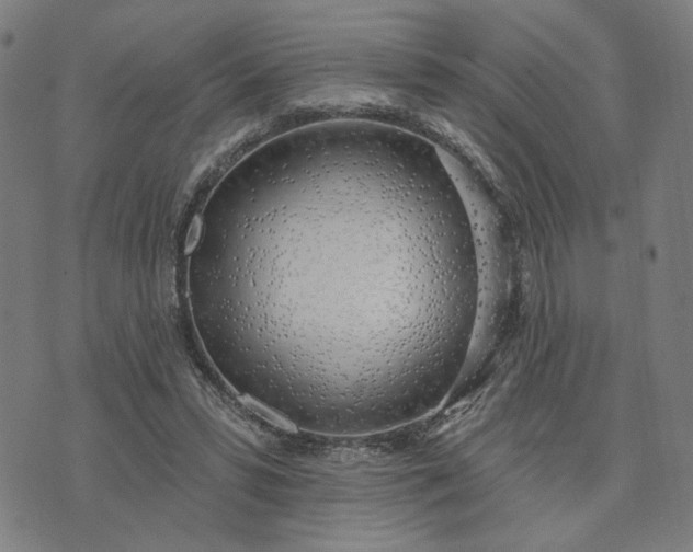 X0000074260399200609081741