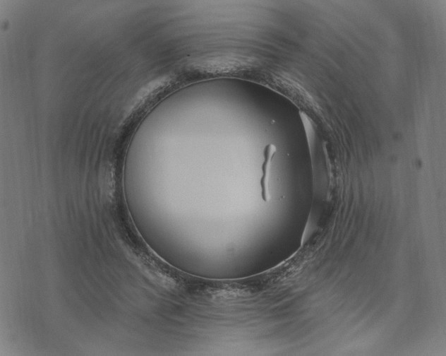 X0000074260400200609081741