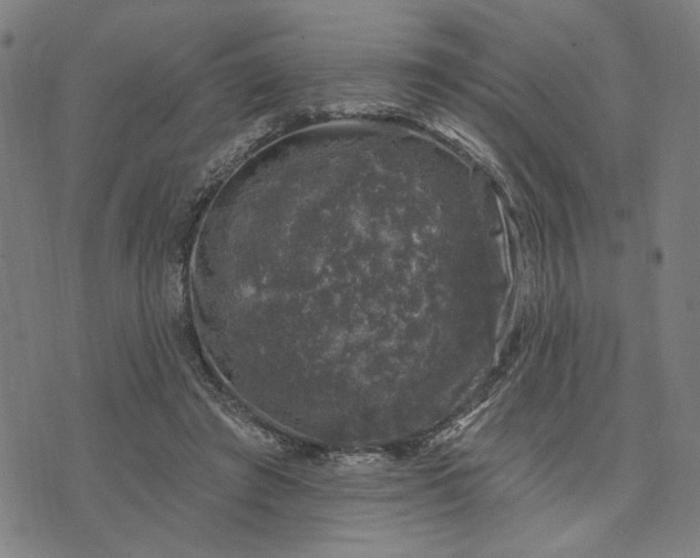 X0000074260401200609081741